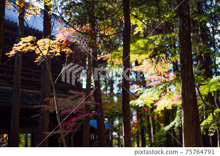 Sōgenji寺 75764791