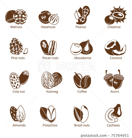 Monochrome illustrations of nuts. pictures isolate on white background 75764951