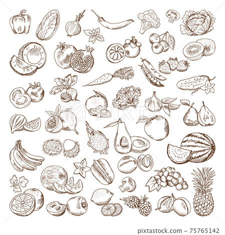 hand drawn pictures of fruits and vegetables. Doodle vegan food illustrations hand drawn pictures of fruits and vegetables. Doodle vegan food illustrations 75765142