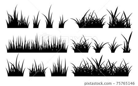 Monochrome illustration of grass. silhouettes 75765146