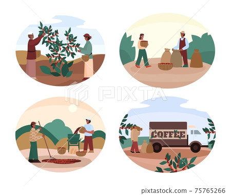 Banners with scenes of coffee producing cartoon vector illustration isolated. 75765266