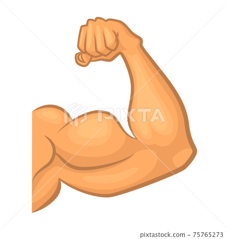 Strong biceps. Gym symbol isolate. Cartoon illustration 75765273