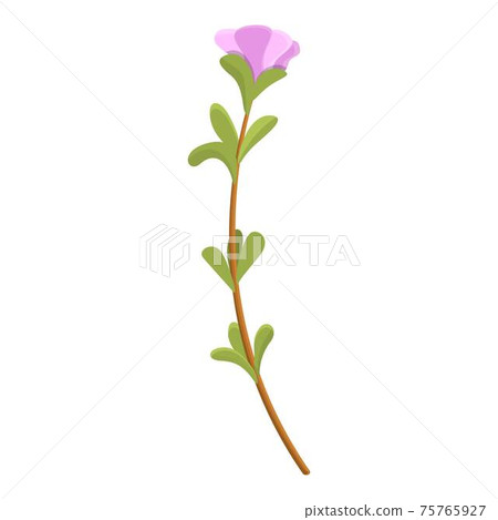 Ripe thyme icon, cartoon style - Stock Illustration [75765927] - PIXTA