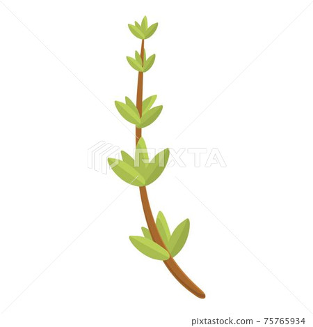 Thyme for food icon, cartoon style 75765934