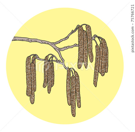 花粉花粉熱al木圖獨自 75766721