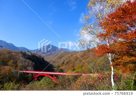 秋葉清里東澤大橋 秋葉清里東澤大橋 75766919