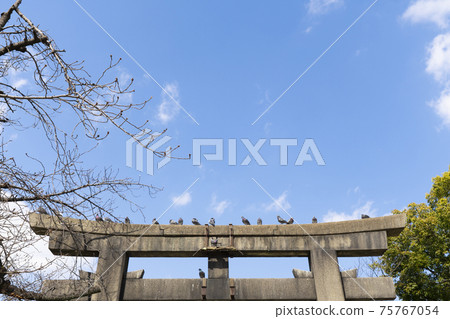 Tosa Inari Shrine Torii Bird [Nishi-ku, Osaka] 75767054