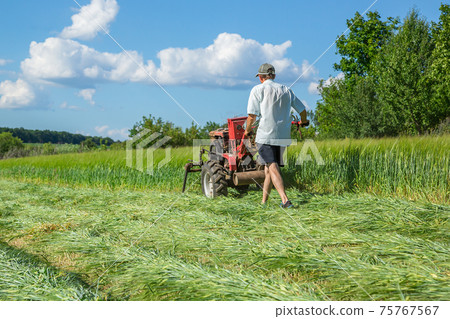 Work on an agricultural farm Work on an agricultural farm 75767567
