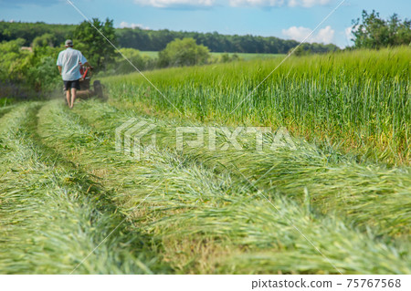 Work on an agricultural farm Work on an agricultural farm 75767568