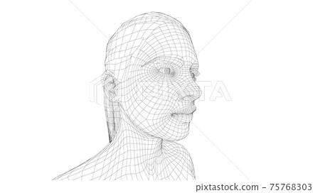 Wireframe portrait of a young beautiful girl Wireframe portrait of a young beautiful girl 75768303