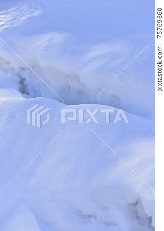 [Kami Town, Hyogo Prefecture] Early spring scenery of Hachi Kita Kogen 75769860
