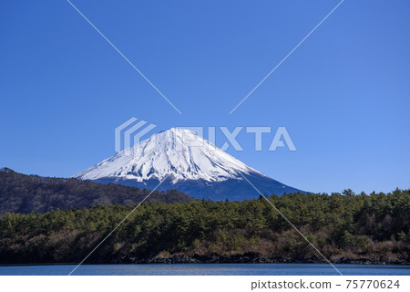 Mountain range and Mt. Fuji seen from the shore of Saiko Mountain range and Mt. Fuji seen from the shore of Saiko 75770624