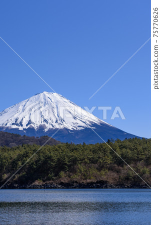 Clear sky, Saiko and Mt. Fuji Clear sky, Saiko and Mt. Fuji 75770626