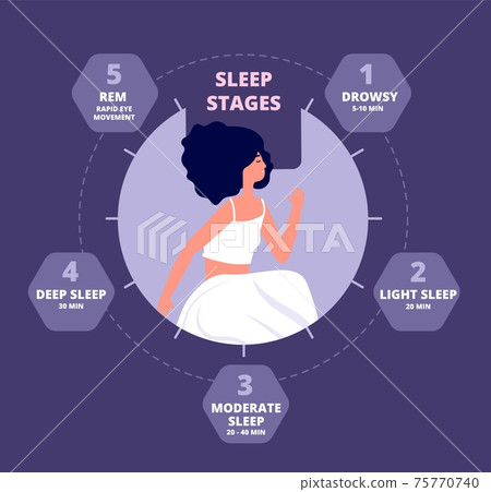 Sleep cycle. Healthy biology, hormones body exposure. Sleeping repeating diagram, melatonin brain reaction. Night rhythm utter vector poster 75770740
