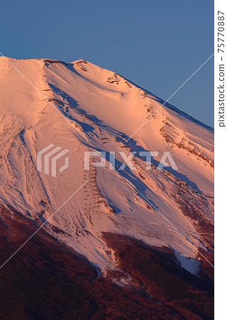 Red Fuji close-up 75770887