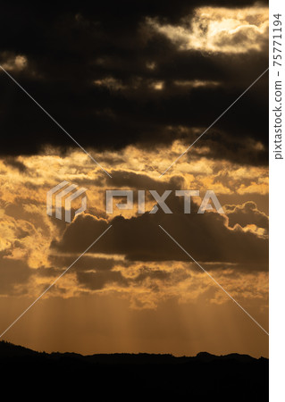 天空，月亮，晚，山頂，森林，金光市，千葉縣，鹿山，森林，朝日，日出，光線，性質 75771194