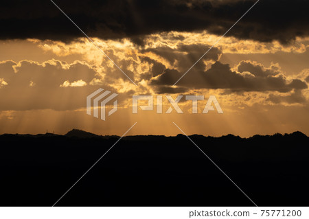 天空，月亮，晚，山頂，森林，金光市，千葉縣，鹿山，森林，朝日，日出，光線，性質 75771200