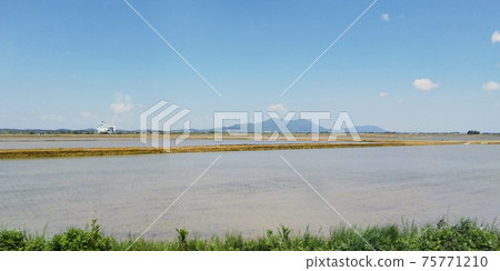 單面稻田 單面稻田 75771210