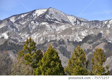 [Kami Town, Hyogo Prefecture] Early spring scenery of Hachi Kita Kogen 75771257