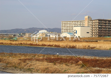 兵庫縣Mo川市伊丹市 兵庫縣Mo川市伊丹市 75772067