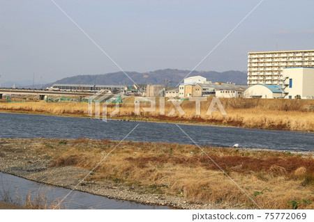 兵庫縣Mo川市伊丹市 兵庫縣Mo川市伊丹市 75772069