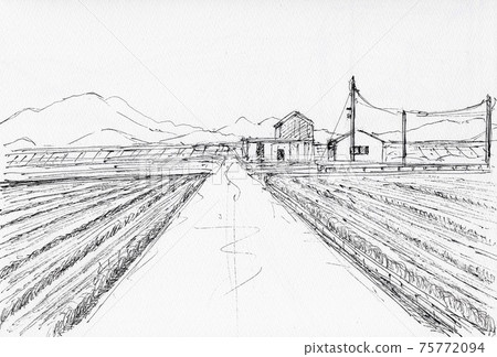 Wheat field 75772094