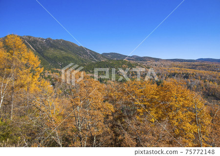 [長野縣]秋天的立志女神天文台的景色 75772148