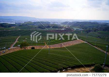 Yame Chuo Ochaen [Yame City, Fukuoka Prefecture] 75772279