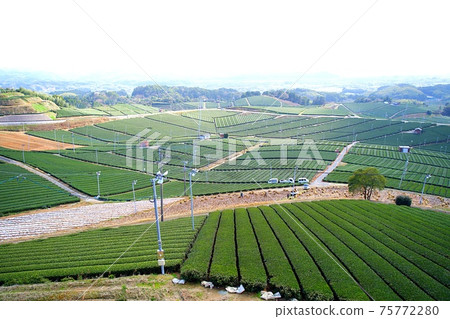 Yame Chuo Ochaen [Yame City, Fukuoka Prefecture] 75772280