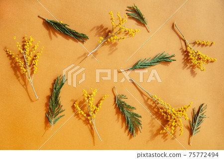 Composition of fresh plant twigs against yellow background 75772494