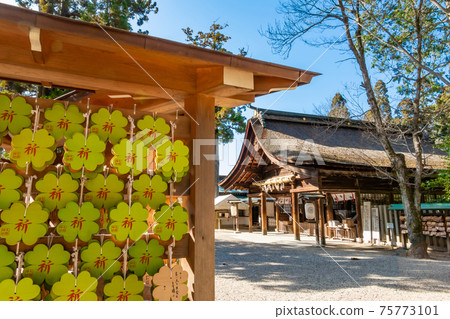 著名的梅花勝地大垣神社<愛知縣犬山市> 75773101