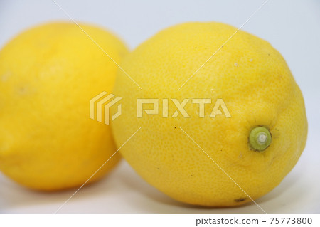 檸檬 檸檬 75773800