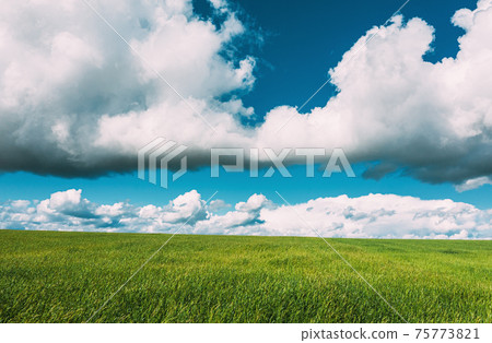 Countryside Rural Green Field Landscape With Young Wheat Sprouts In Spring Summer Cloudy Day. Agricultural Field. Young Wheat Shoots. Aerial View Countryside Rural Green Field Landscape With Young Wheat Sprouts In Spring Summer Cloudy Day. Agricultural Field. Young Wheat Shoots. Aerial View 75773821