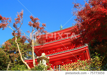 岐阜市三岐塔岐阜市風景 岐阜市三岐塔岐阜市風景 75773850