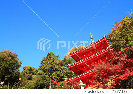 Gifu City, Gifu Park Three-Story Pagoda Scenery 75773851
