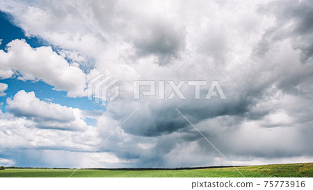 Countryside Rural Wheat Field Meadow Landscape In Summer Rainy Day. Scenic Sky With Rain Clouds On Horizon. Countryside Rural Wheat Field Meadow Landscape In Summer Rainy Day. Scenic Sky With Rain Clouds On Horizon. 75773916