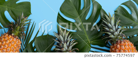 鳳梨 熱帶 葉子 蓬萊蕉 背景 龜背葉 pineapple background パイナップル 75774597