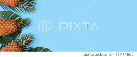 鳳梨 熱帶 葉子 蓬萊蕉 背景 龜背葉 pineapple background パイナップル 75774603
