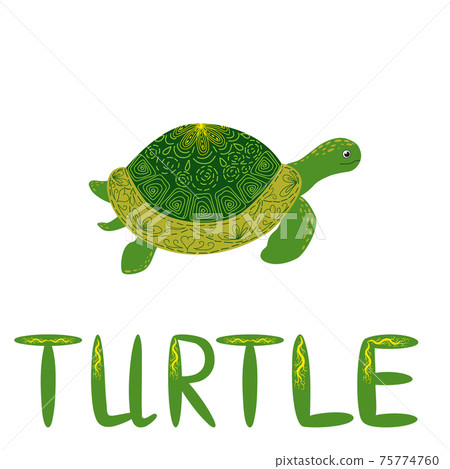 Scandinavian style green turtle with shell hand painted pattern hand drawn and signed with beautiful letters 75774760