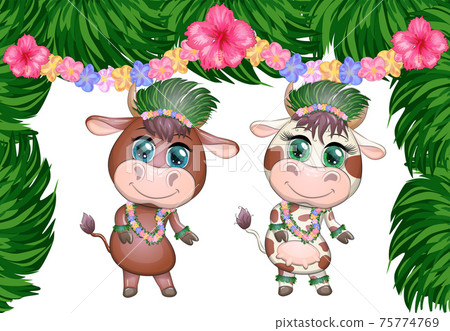 A pair of cute cartoon bull and cow with beautiful eyes is the character of a Hawaiian hula dancer among leaves A pair of cute cartoon bull and cow with beautiful eyes is the character of a Hawaiian hula dancer among leaves 75774769