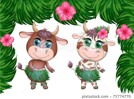 A pair of cute cartoon bull and cow with beautiful eyes is the character of a Hawaiian hula dancer among leaves A pair of cute cartoon bull and cow with beautiful eyes is the character of a Hawaiian hula dancer among leaves 75774770
