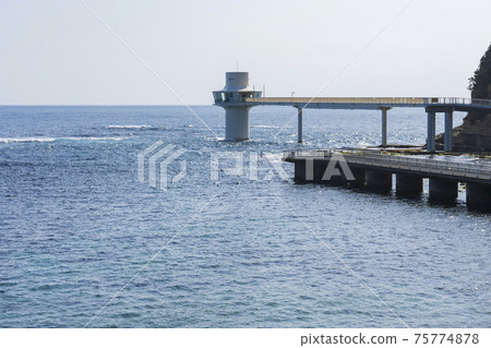 [千葉]勝浦海底公園中心 75774878