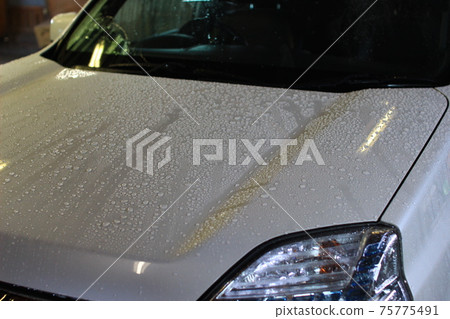 洗車時在淋浴時沖洗後殘留有水滴的車身 洗車時在淋浴時沖洗後殘留有水滴的車身 75775491