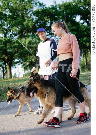 Pet Love, Dog Training, best dog breeds for family. Young sports couples walking with two German Shepherd dogs outdoors in summer park 75775896