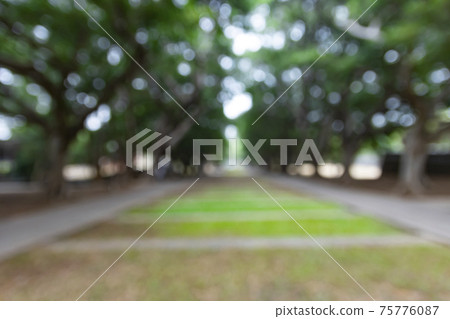 東海大學文理大道的失焦背景圖 75776087