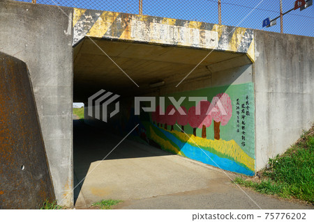 Mural ① 75776202