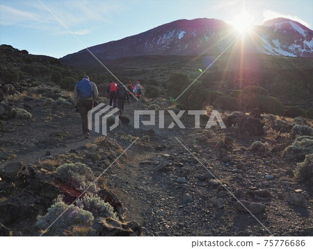 Climbing Kilimanjaro, Tanzania 75776686