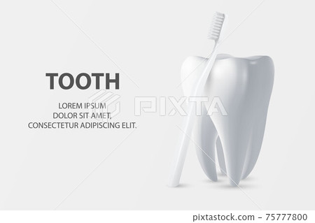 Vector 3d Realistic Toothbrush and Tooth Closeup Isolated on White Background. Medical Dentist Illustration. Design Template, Clipart, Mockup. Dental Health Concept 75777800