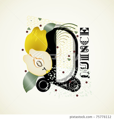 The letter Q and Quince on a bright abstract background The letter Q and Quince on a bright abstract background 75778112