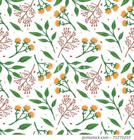 Herbal seamless pattern on white background.... - Stock Illustration ...